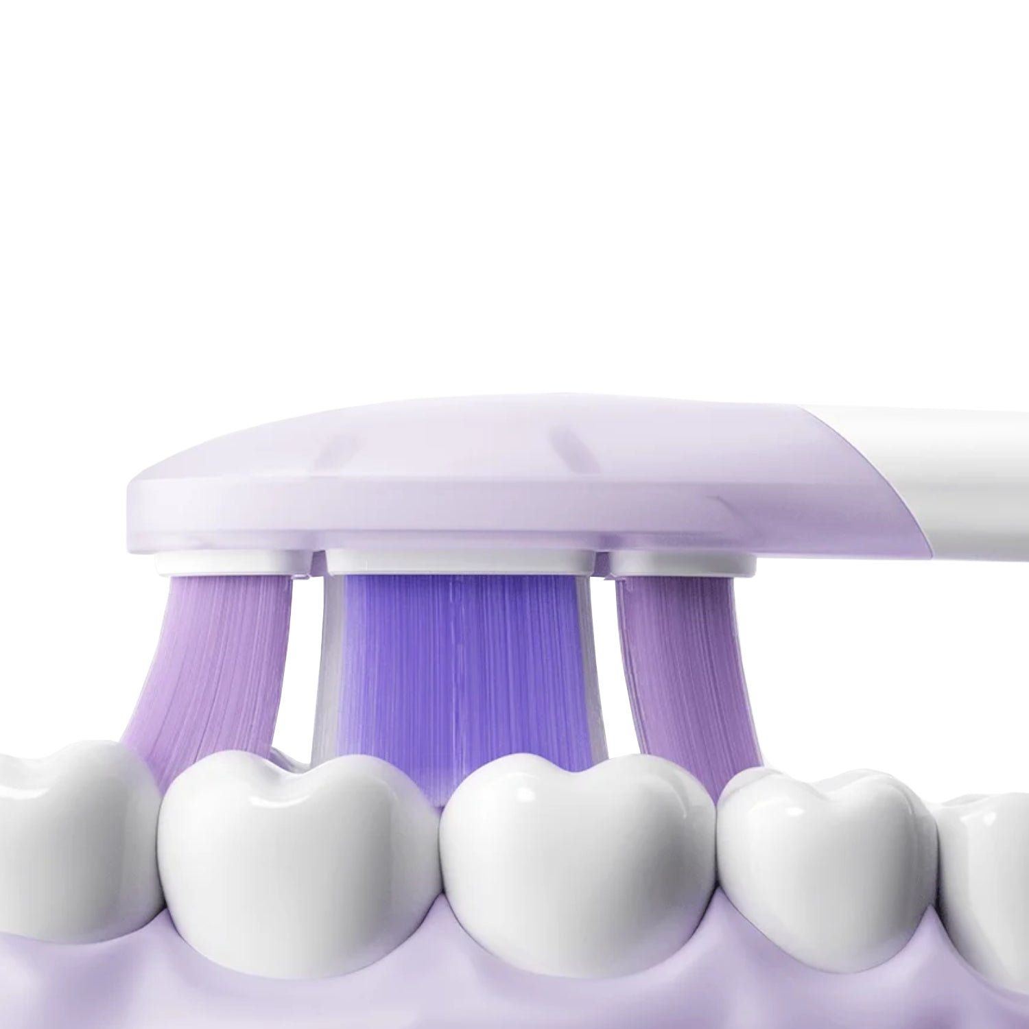 Xiaomi Oscillation Electric Toothbrush Pro Replacement Heads (Soft)-5