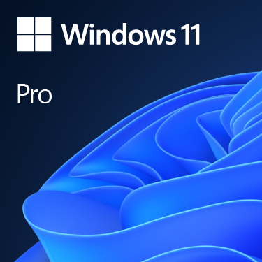 Microsoft Microsoft Windows11 Pro64Bit DSP-0