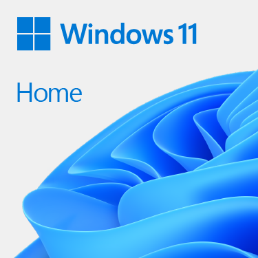 Microsoft Microsoft Windows11 Home64Bit DSP-0