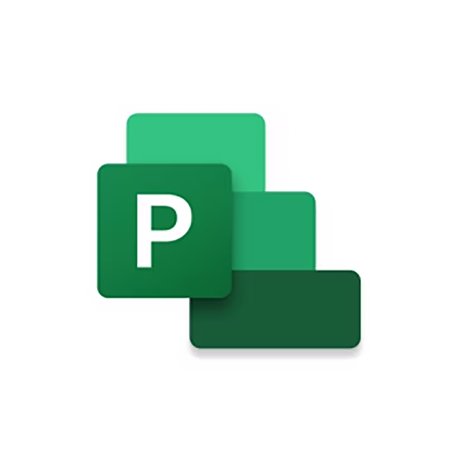 Microsoft Project 2024 Standard ESD Lifetime License-0