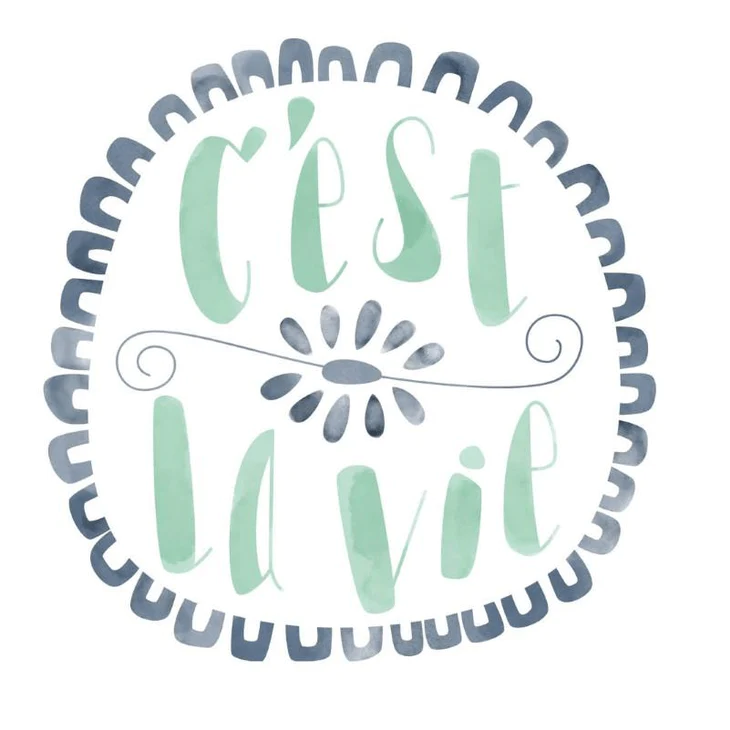 2004946 - CRICUT IRON ON DESIGNS CEST LE VIE 8.5X12