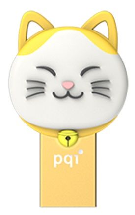 Pqi 32gb Connect303 - Gold