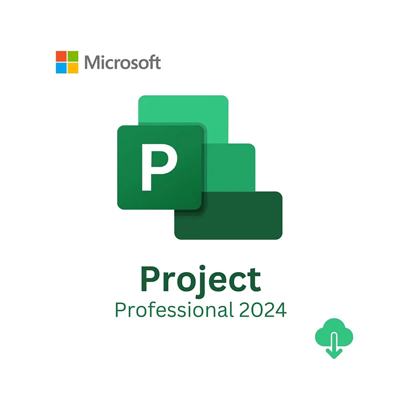 Microsoft Project Pro 2024 ESD Lifetime License-0