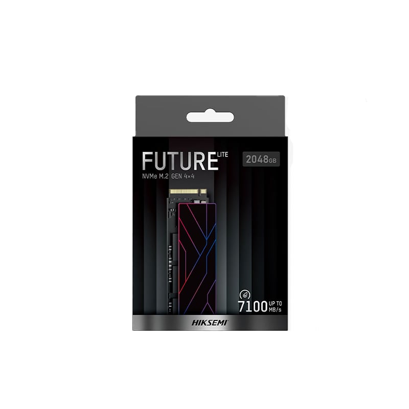 Hikvision Future Lite 1TB Gen4 M.2 NVMe 3D NAND SSD-3
