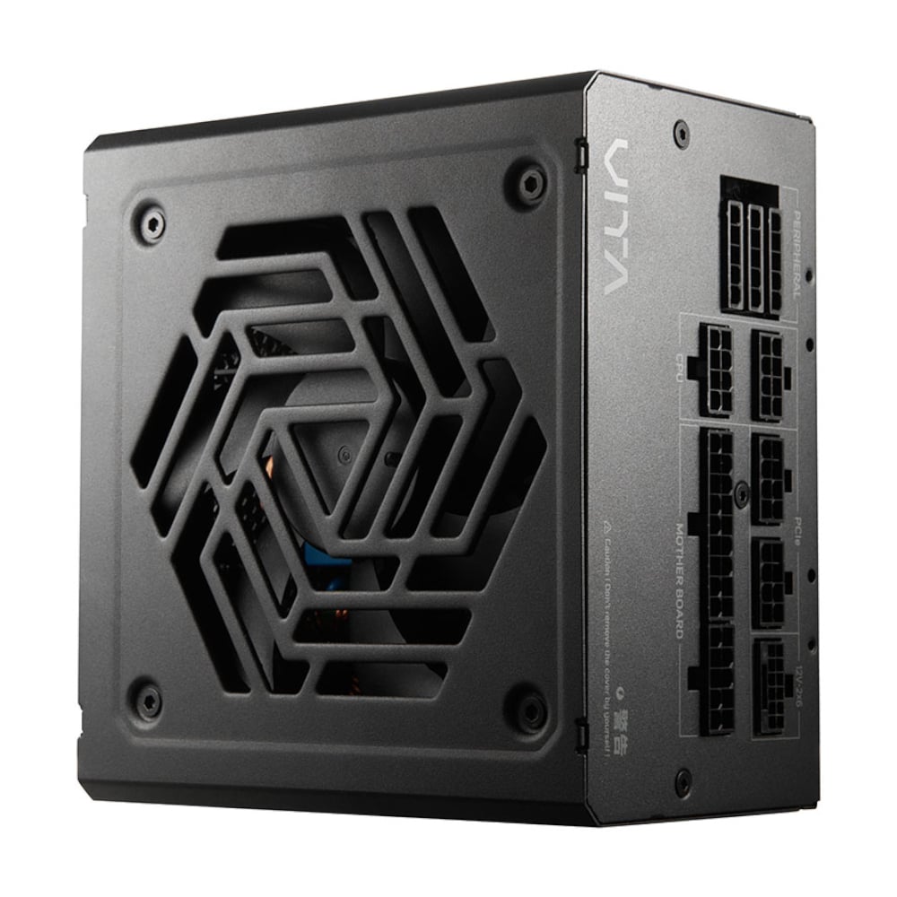 FSP VITA GM 850W 80 PLUS Gold Modular Power Supply-1