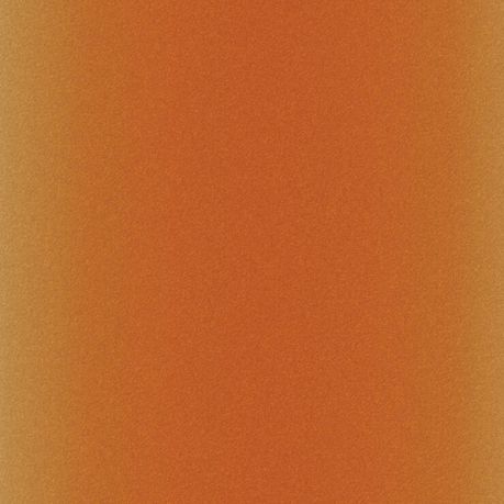 2008768 - Cricut Infusible Ink Transfer Sheets 2-pack (Leopard) 12x12