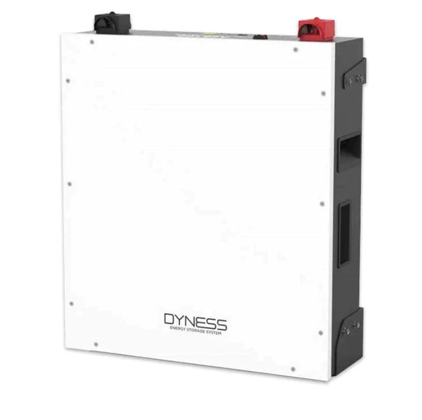 Dyness 48V 4.8KW Lithium Battery A48100