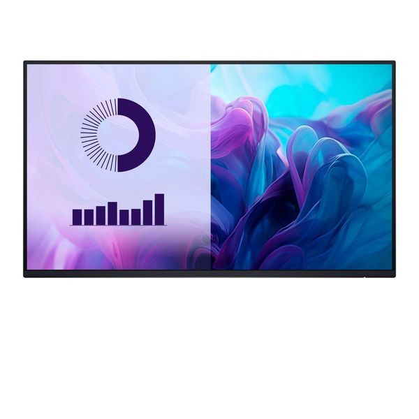 Dell P2425H 23,8" FHD Monitor