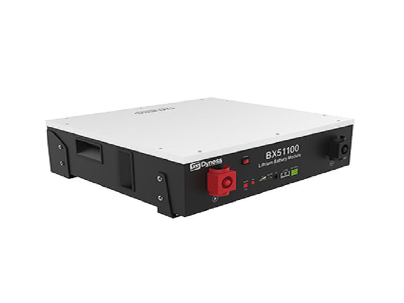 Dyness B51100 5.12kWh Lithium batteries