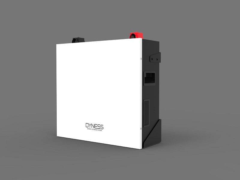 Dyness B51100 5.12kWh Lithium batteries