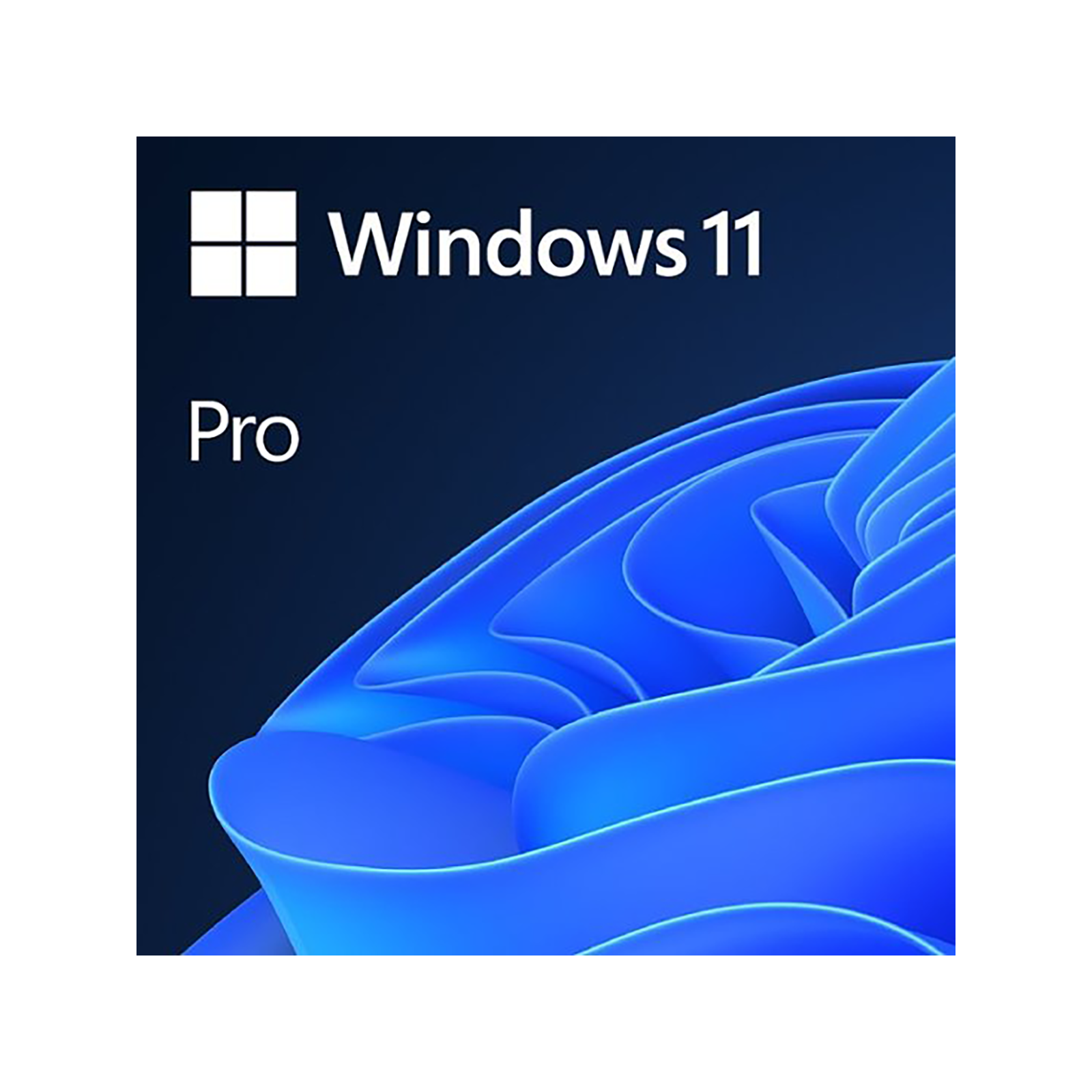 Microsoft Windows 11 Professional Single-User ESD License-0