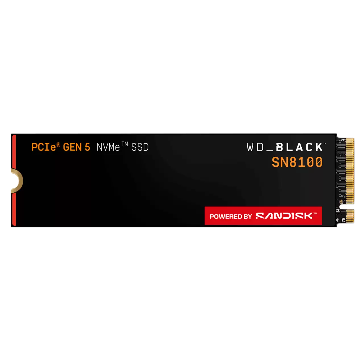 WD BLACK SN8100 NVMe SSD - 1TB, Without Heatsink-0