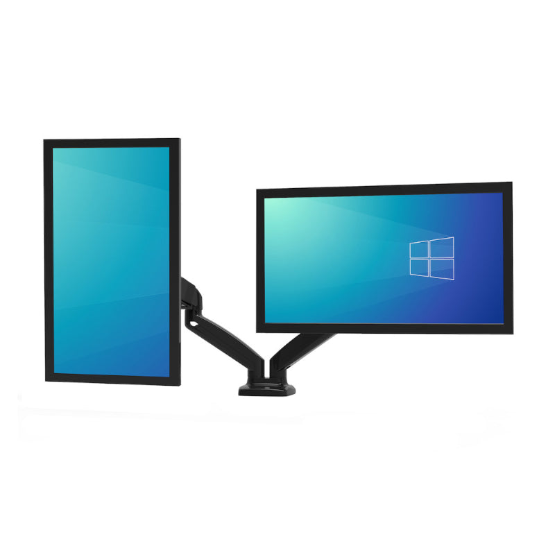 PORT MONITOR ARM DUAL BK