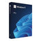 Microsoft Windows11 Pro - FPP 64-Bit USB